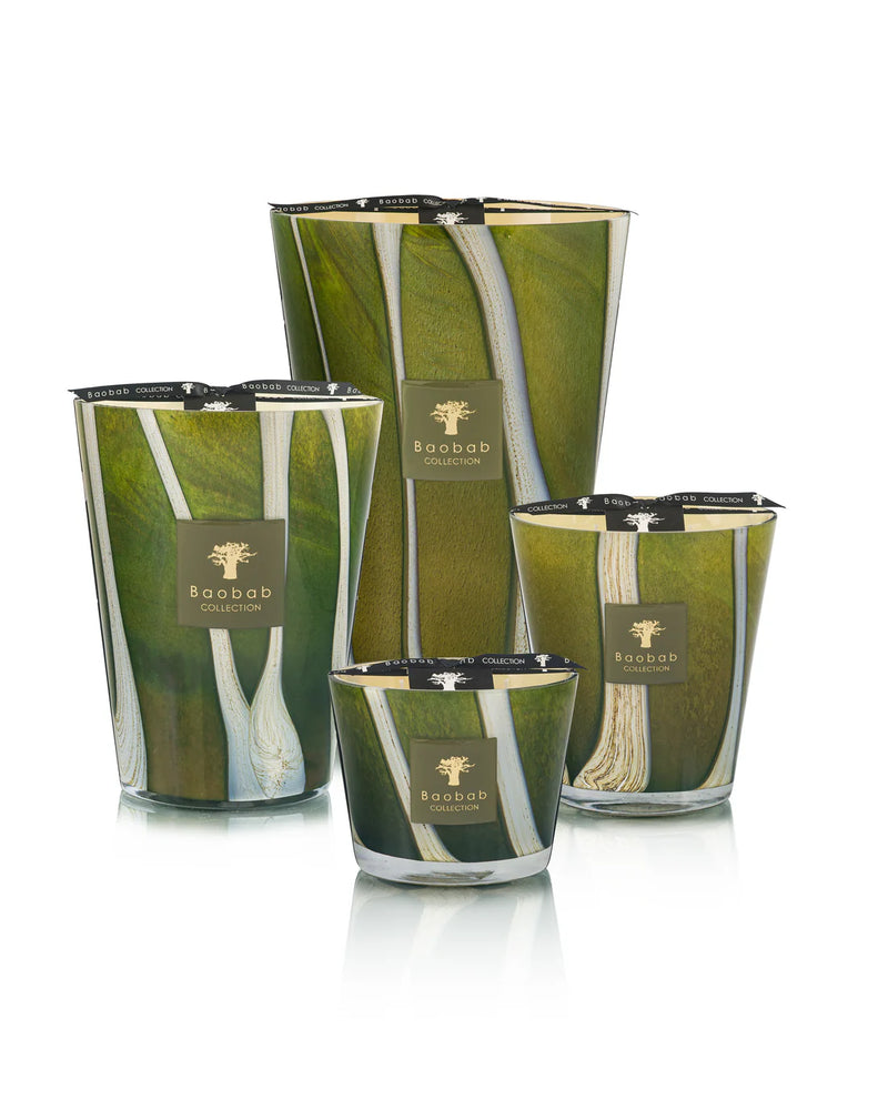 Baobab Collection Scented Candle, Woods Sherwood