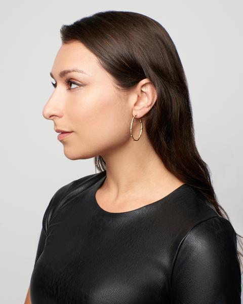 Freida Rothman Signature Bezel Hoop Earrings